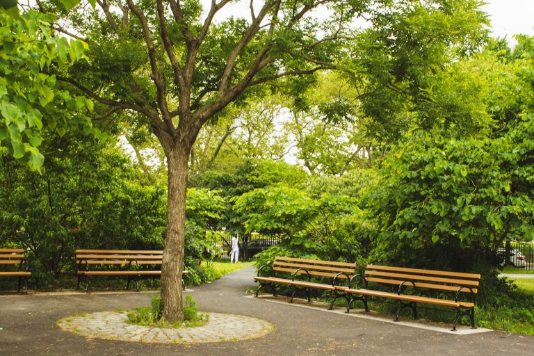 23 Best And Fun Things To Do In Clovis: What You Should Know Things To Do In Clovis